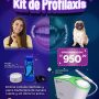 Kit de profilaxis dental